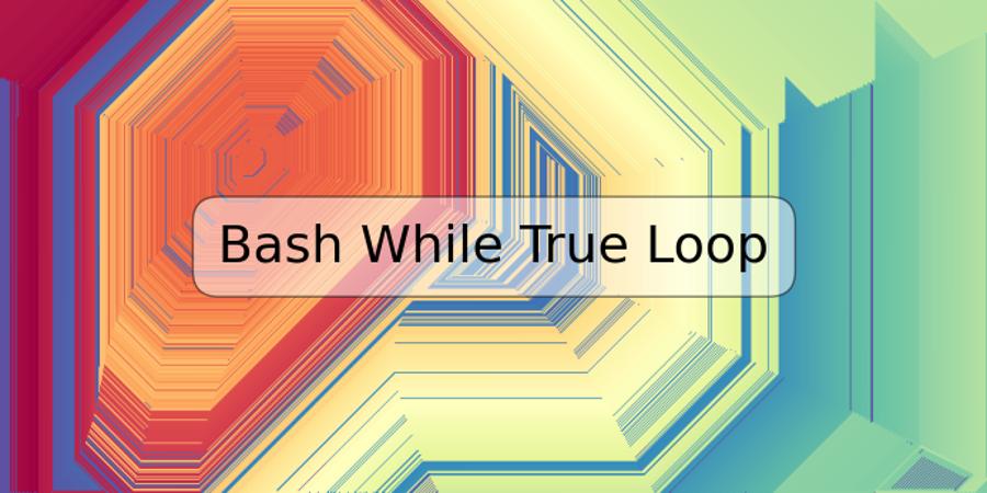 Bash While True Loop