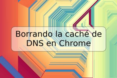Borrando la caché de DNS en Chrome