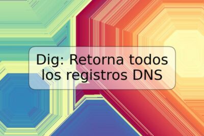 Dig: Retorna todos los registros DNS