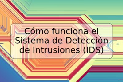 Cómo funciona el Sistema de Detección de Intrusiones (IDS)