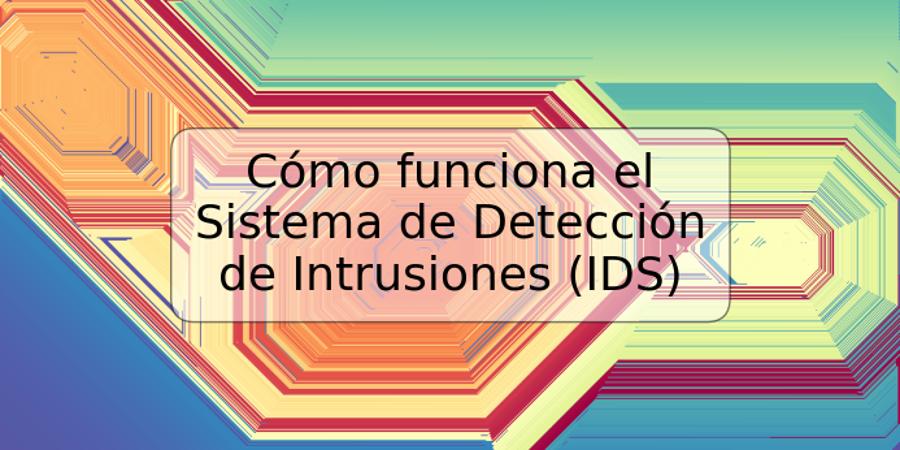 Cómo funciona el Sistema de Detección de Intrusiones (IDS)