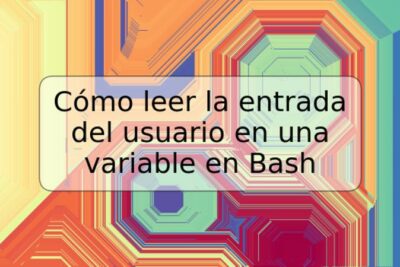 Cómo leer la entrada del usuario en una variable en Bash