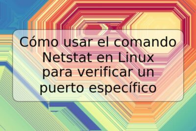 Cómo usar el comando Netstat en Linux para verificar un puerto específico