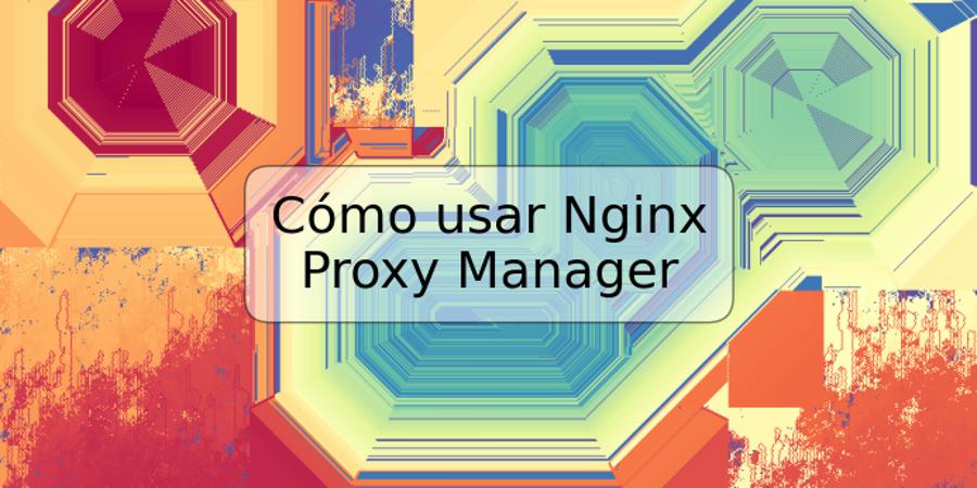 Cómo usar Nginx Proxy Manager